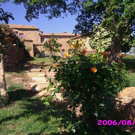 פיינצה Villa Fonte All'Oppio Con Area Piscina Recintata מראה חיצוני תמונה